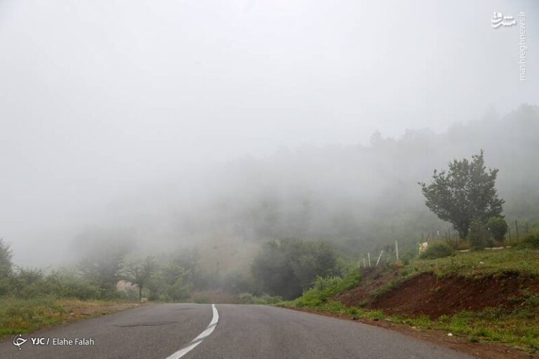 عکس/ طبیعت زیبای داماش گیلان