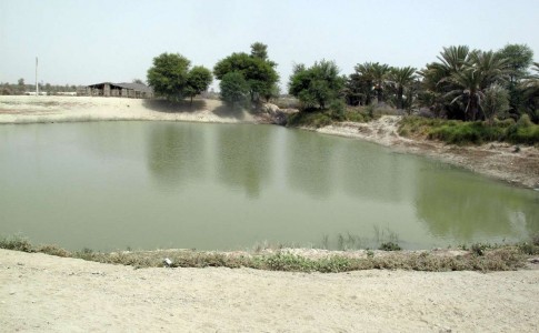 غرق شدن یک کودک در گودال ذخیره آب در شهرستان دشتیاری – خبرگزاری هرانا